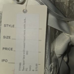Elegant Silver and Cream Dress